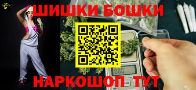 apvp Кингисепп