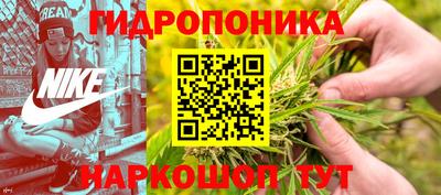 шишки Гусь-Хрустальный