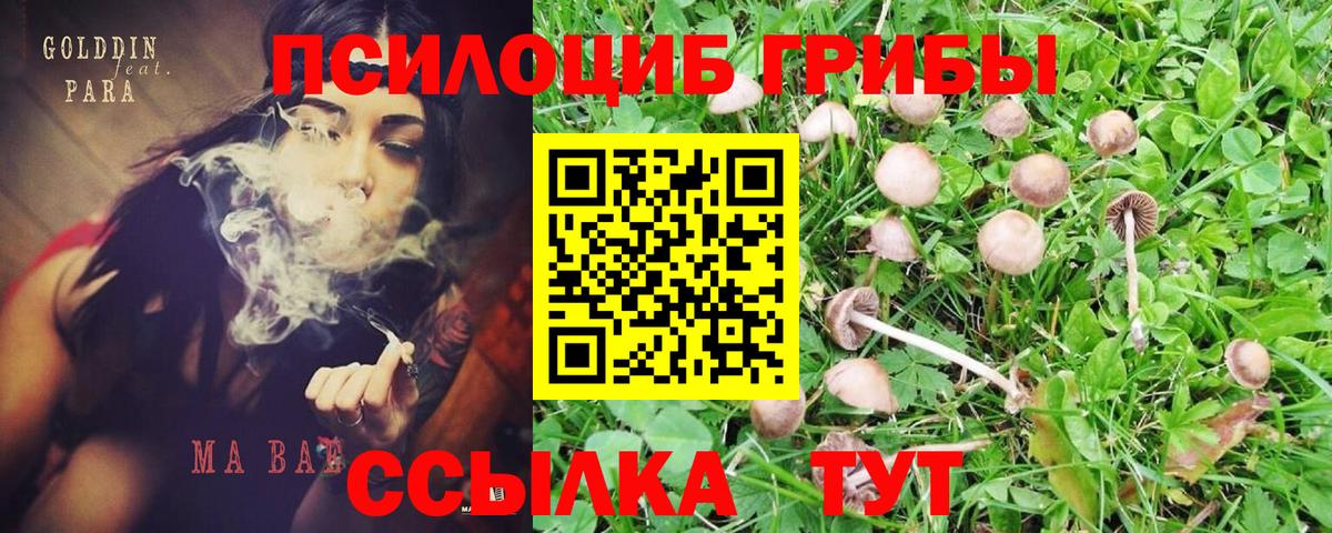 Галлюциногенные грибы мицелий Калининград