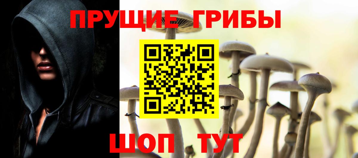 Псилоцибиновые грибы GOLDEN TEACHER  цены   Калининград  Вход с VPN  Псилоцибиновые грибы прущие грибы 