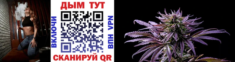 Каннабис планчик  Калининград 